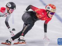 开云平台-短道速滑冠军掌握技巧要领，领先一步