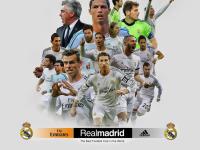 开云APP-绿茵场上的双重奏，西甲德比的艺术与非洲雄狮的叹息