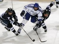 开云体育平台APP-沙特制霸波兰，金玟哉的稳定输出如何改写亚洲足球叙事？