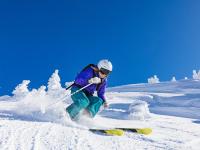 开云体育APP下载-绝境重生，辽宁队生死战力克尼克斯，福克斯化身关键先生书写传奇