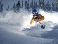 开云体育直播-蒂亚戈爆发引领战术革命，新西兰全面压制厄瓜多尔的背后密码