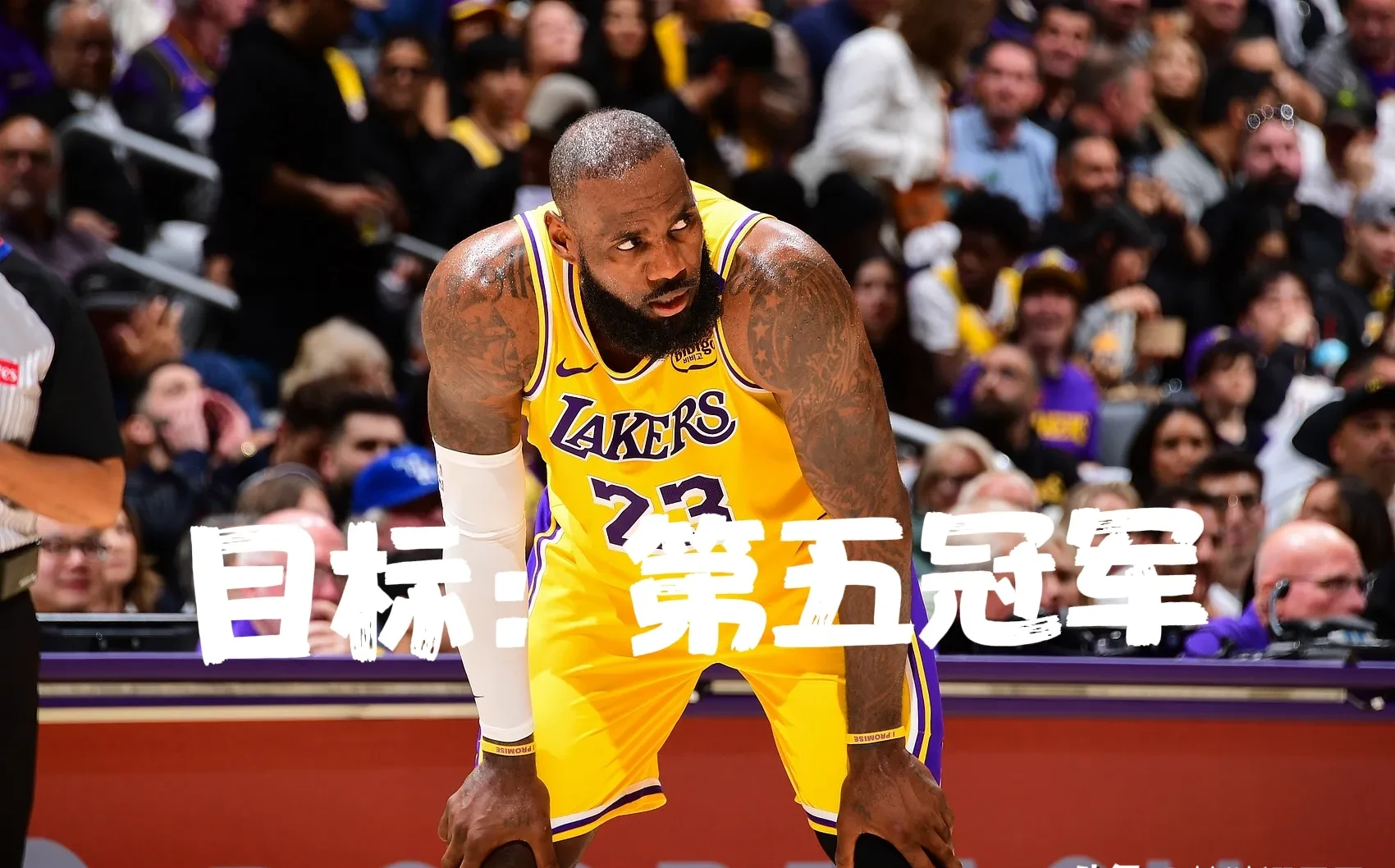 关于詹姆斯砍下+，湖人胜热火夺冠首秀的信息