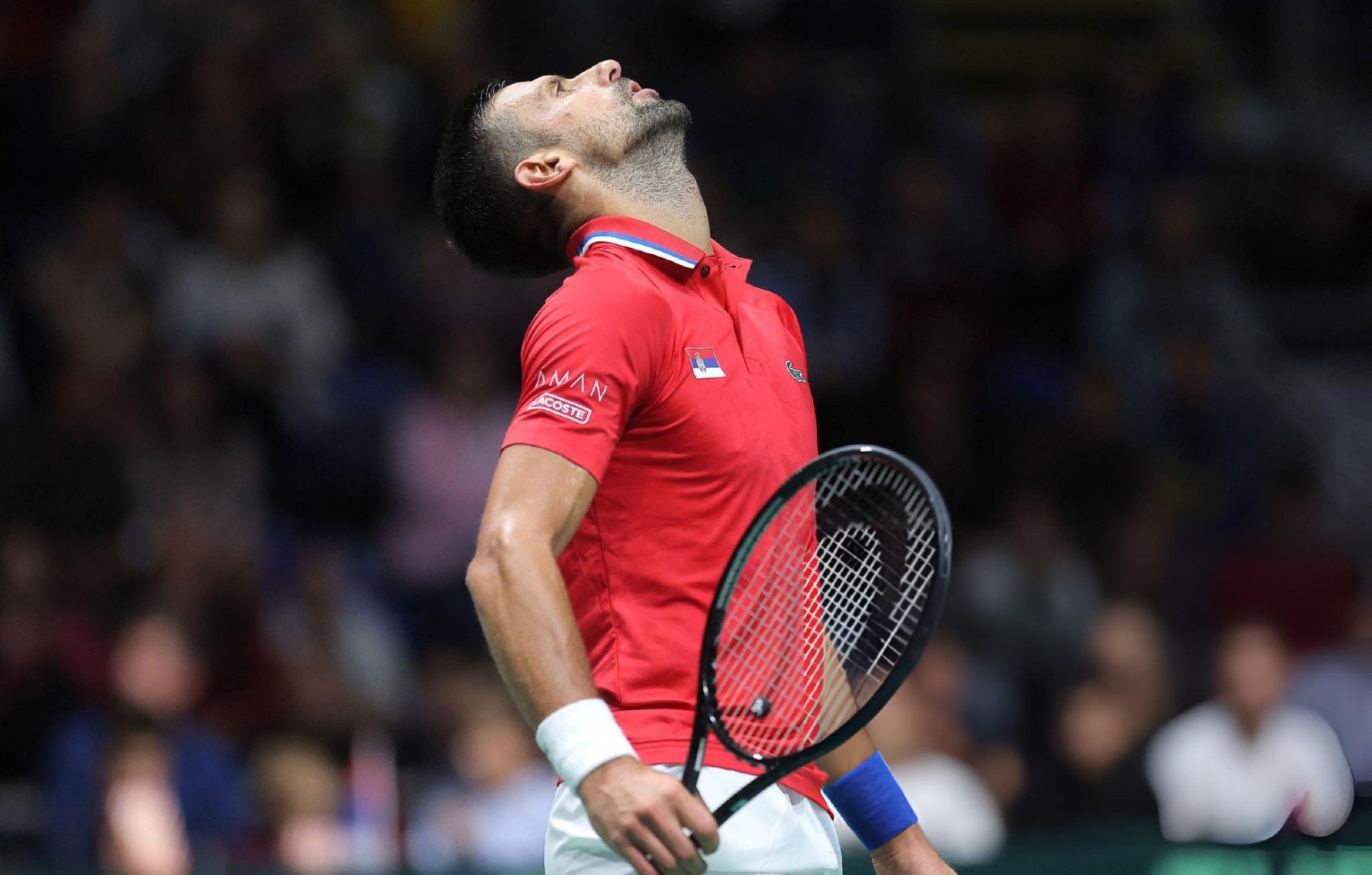 美网力克戴维斯杯，德约科维奇高光表现